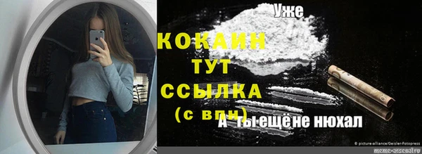 индика Верхний Тагил