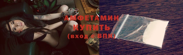 индика Верхний Тагил