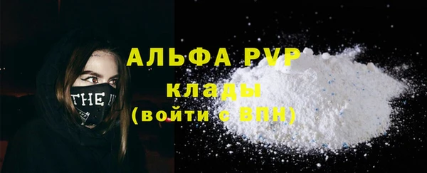 индика Верхний Тагил
