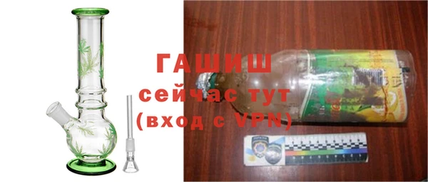 индика Верхний Тагил