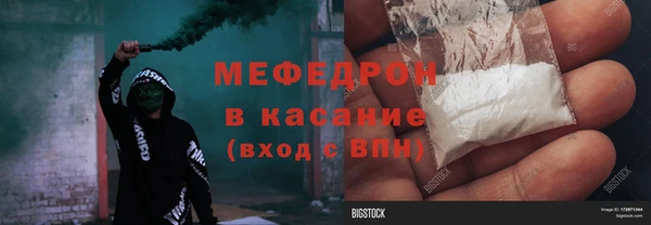 индика Верхний Тагил