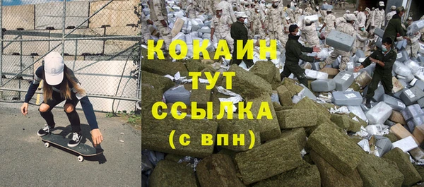 индика Верхний Тагил