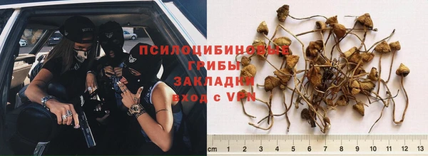 кокс Верея
