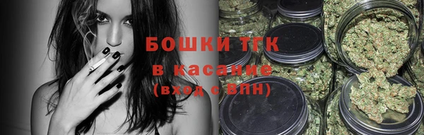 индика Верхний Тагил