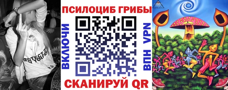 Галлюциногенные грибы Cubensis  MEGA tor  Нестеровская 